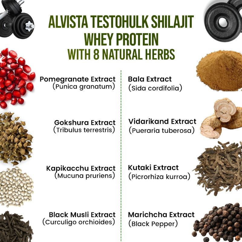 TESTOHULK™ Shilajit Whey Fast Absorb Protein - 1kg