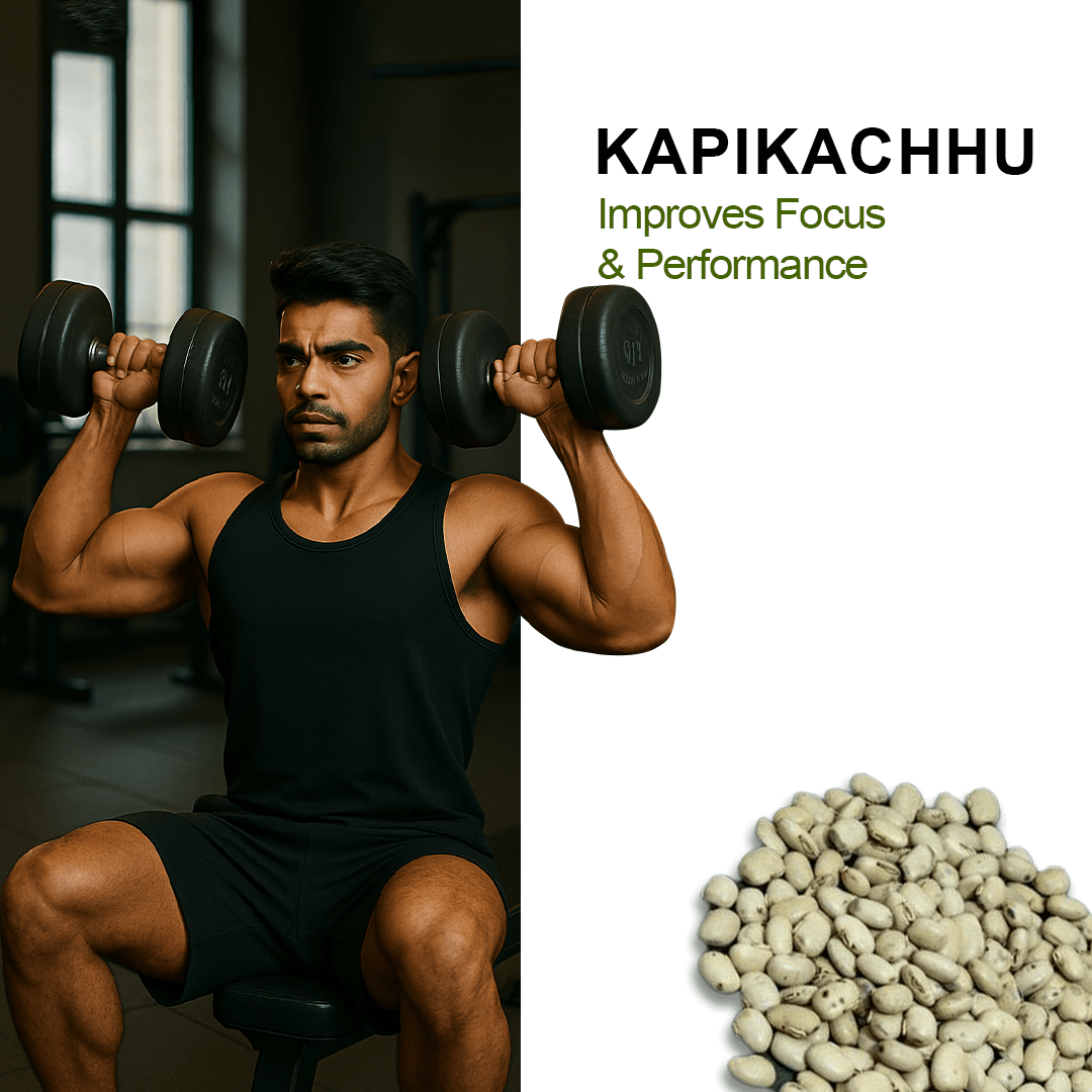 TESTOHULK™ Shilajit Whey Fast Absorb Protein - 1kg