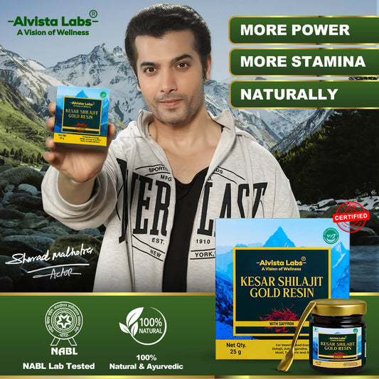 Alvista Kesar Shilajit Gold Resin - 2 Shilajit Combo