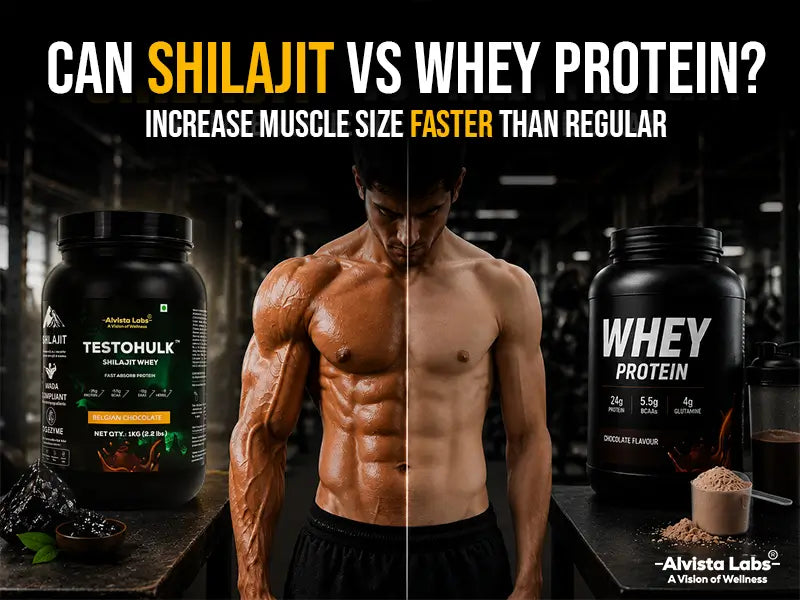 Alvista Labs TESTOHULK Shilajit Whey protein vs regular whey protein bottle comparison banner showcasing muscle growth results