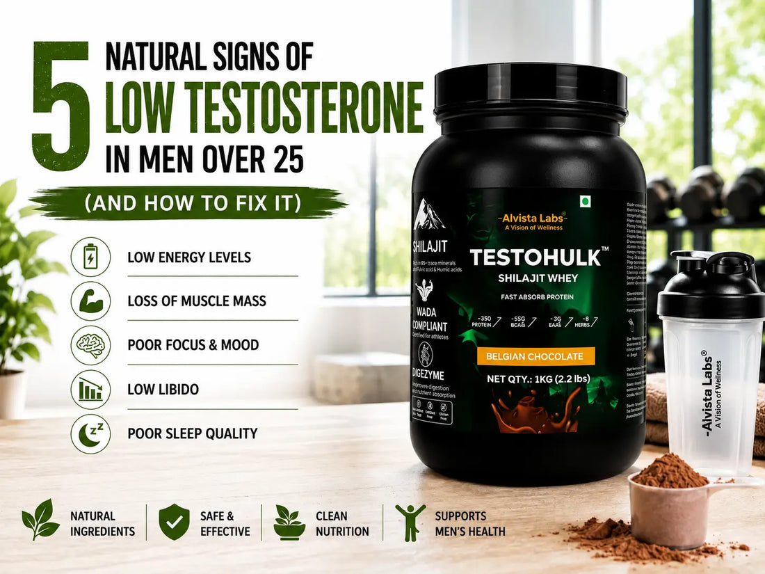 Alvista Labs Testohulk Shilajit Whey Protein Tub with 5 Natural Signs of Low Testosterone Infographic