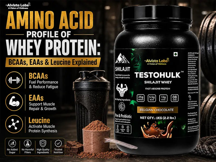 Amino Acid Profile of Whey Protein banner featuring Alvista Labs Testohulk Shilajit Whey Protein tub, BCAAs, EAAs, and Leucine breakdown.
