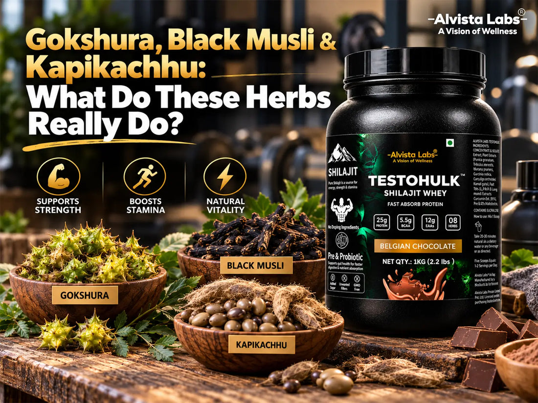 Gokshura, Black Musli, and Kapikachhu raw herbs shown alongside Alvista Labs TestoHulk Shilajit Whey Protein tub for strength and stamina.