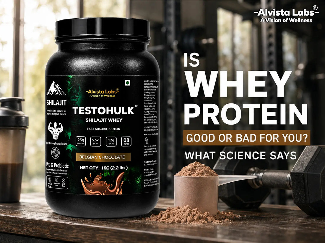 Alvista Labs TestoHulk Shilajit Whey Protein Powder Jar - Is Whey Protein Good or Bad for You