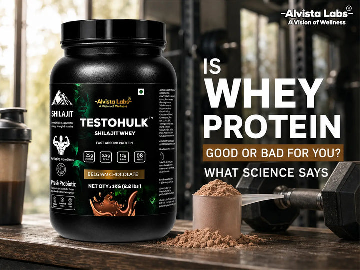 Alvista Labs TestoHulk Shilajit Whey Protein Powder Jar - Is Whey Protein Good or Bad for You
