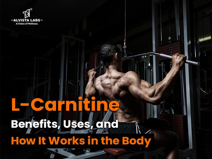 L-Carnitine: Benefits, Uses, and How It Works in the Body