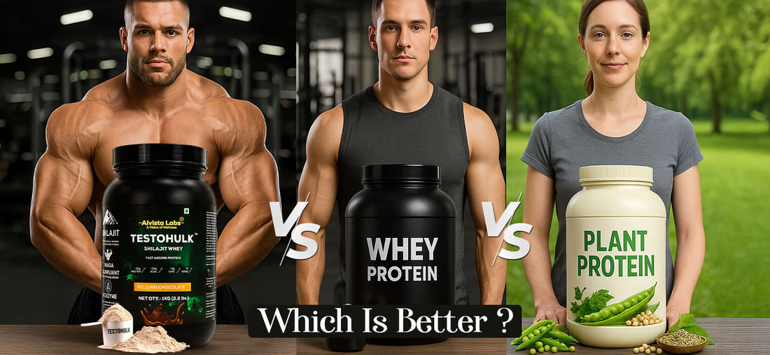 Whey Protein vs Plant Protein vs Alvista Protein - Which is Better?