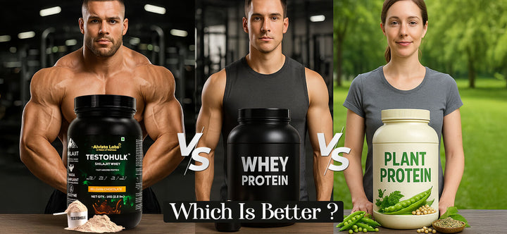 Whey Protein vs Plant Protein vs Alvista Protein - Which is Better?