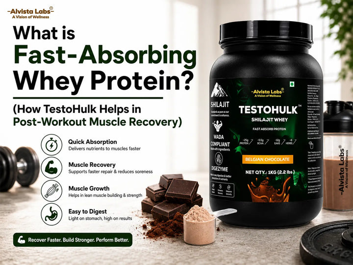 Alvista Labs TestoHulk Shilajit Whey Fast Absorb Protein tub showing benefits like quick absorption and post-workout muscle recover