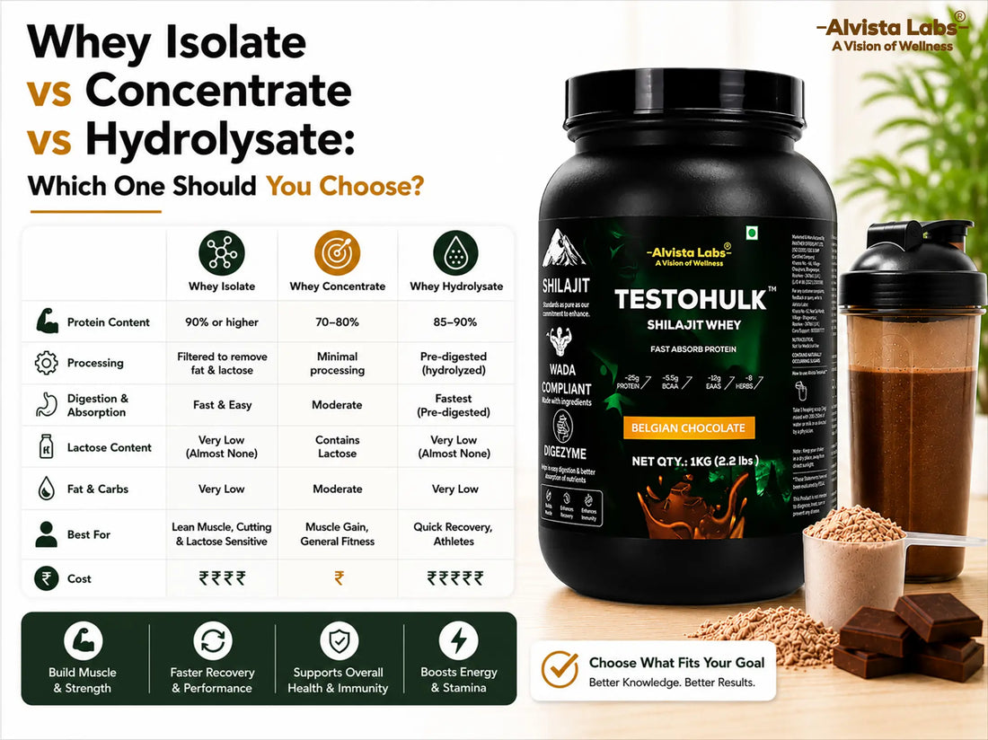 Whey Isolate vs Concentrate vs Hydrolysate comparison chart by Alvista Labs TestoHulk Shilajit Whey
