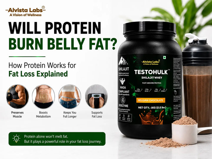 How protein works for belly fat loss explained - TestoHulk Shilajit Whey Protein