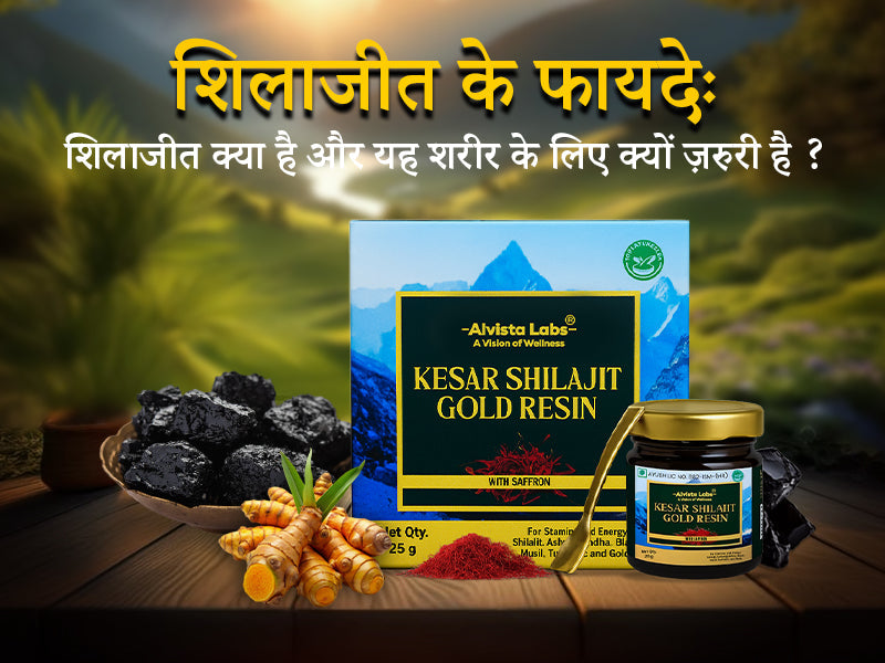 शिलाजीत के फायदे: शिलाजीत क्या है और यह शरीर के लिए क्यों ज़रूरी है?