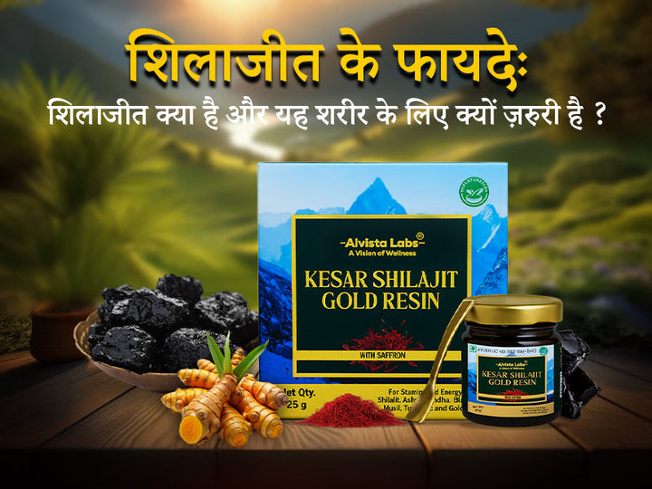 शिलाजीत के फायदे: शिलाजीत क्या है और यह शरीर के लिए क्यों ज़रूरी है?