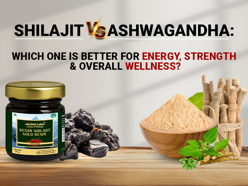 Shilajit vs Ashwagandha: Which One Is Better for Energy, Strength & Overall Wellness?