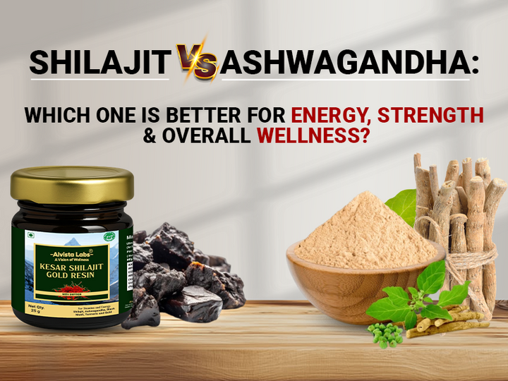 Shilajit vs Ashwagandha: Which One Is Better for Energy, Strength & Overall Wellness?