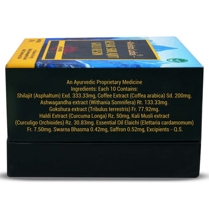 Alvista Labs Kesar Shilajit 24K Carat Gold with Triple Strength L-Carnitine Liquid Combo (2 × 450 ml)