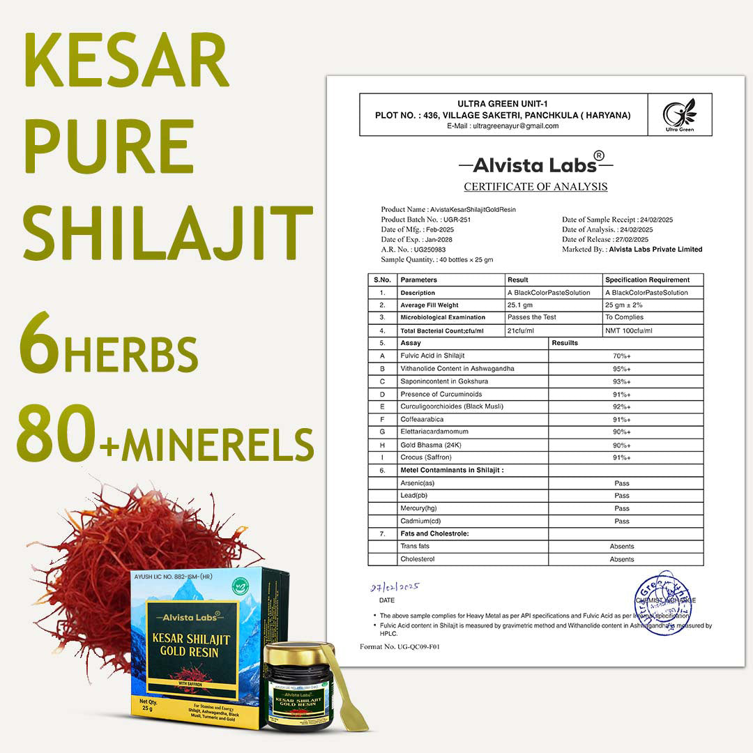 Alvista Labs Kesar Shilajit 24K Carat Gold with Triple Strength L-Carnitine Liquid Combo (2 × 450 ml)