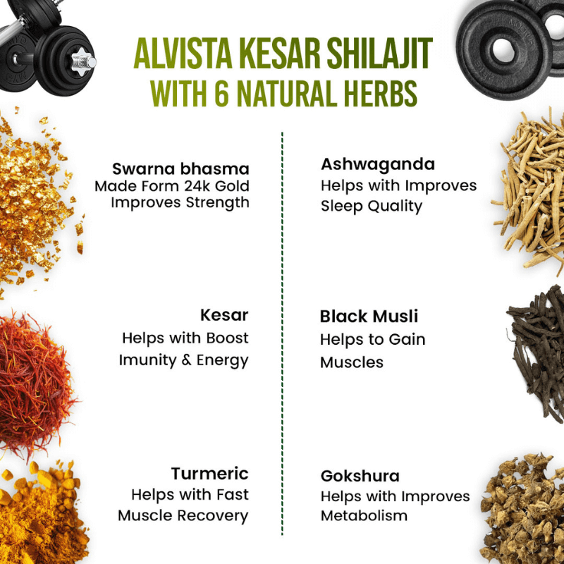 Alvista Labs 4-in-1 Mega Saver Combo (Testohulk Shilajit Whey + L-Carnitine Liquid + 3X Gut Technology + Kesar Shilajit Gold Resin)