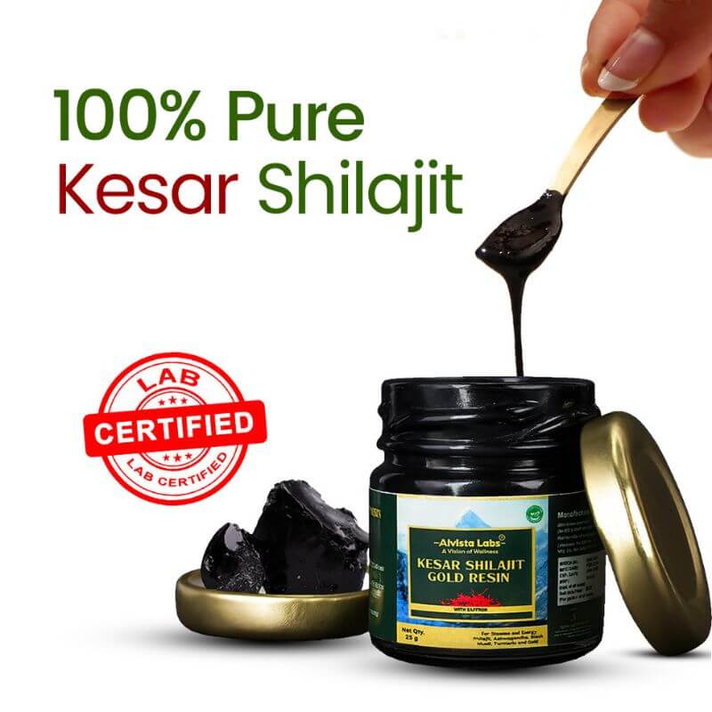 Alvista Kesar Shilajit Gold Resin - 2 Shilajit Combo