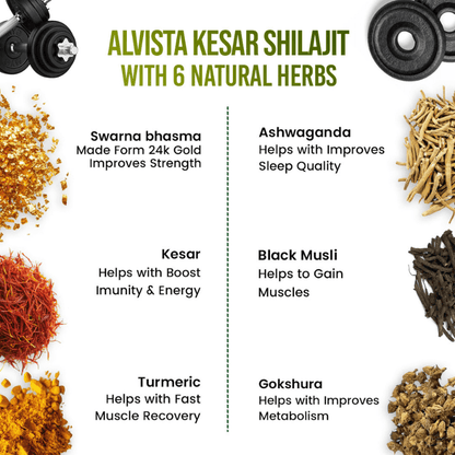 Alvista Kesar Shilajit Gold Resin - 2 Shilajit Combo
