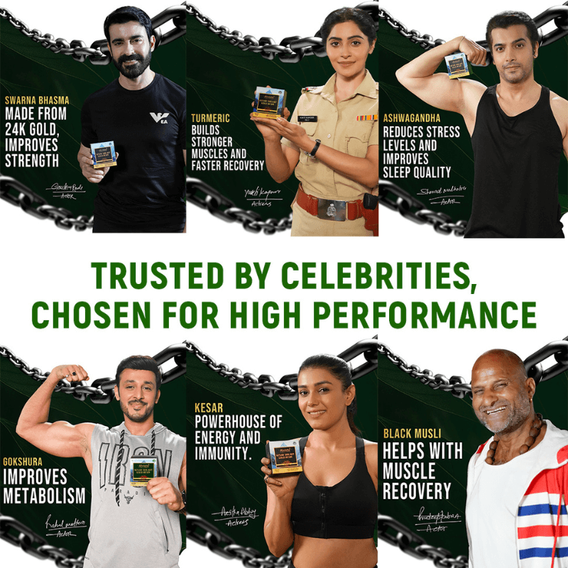 Alvista Kesar Shilajit Gold Resin - 2 Shilajit Combo