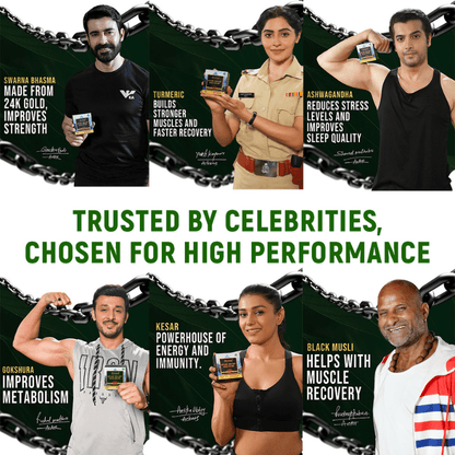 Alvista Kesar Shilajit Gold Resin - 2 Shilajit Combo