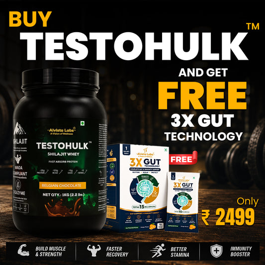 Alvista Labs TestoHulk Shilajit Whey Protein 1kg + Alvista Labs 3X Gut Technology 15 sachet Free