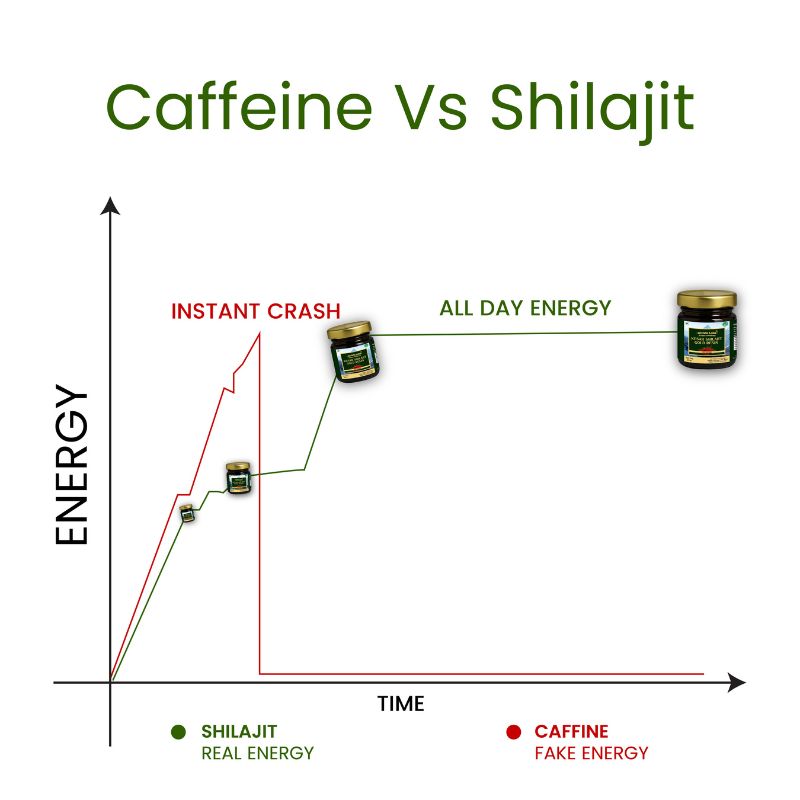 2 Shilajit + 3 Shilajit Free Combo