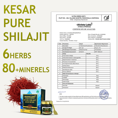 Alvista Kesar Shilajit Gold Resin - 2 Shilajit Combo