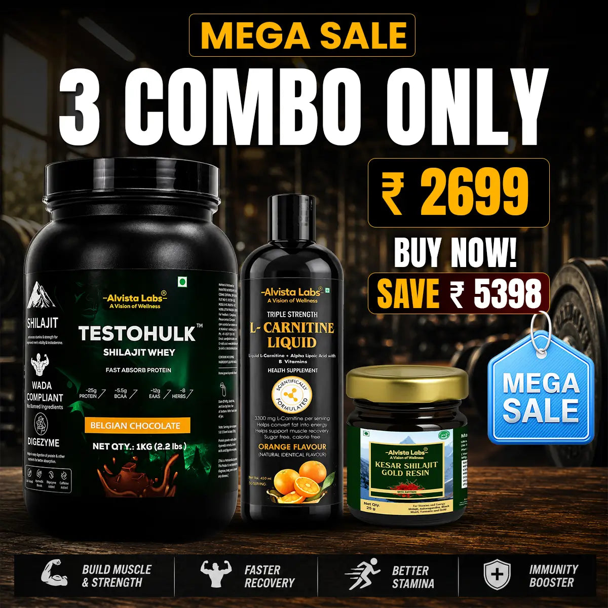 TESTOHULK™ Shilajit Whey Fast Absorb Protein-1kg +Alvista Kesar Shilajit Gold Resin-25g+Alvista Labs L-Carnitine 3300Mg Combo Pack