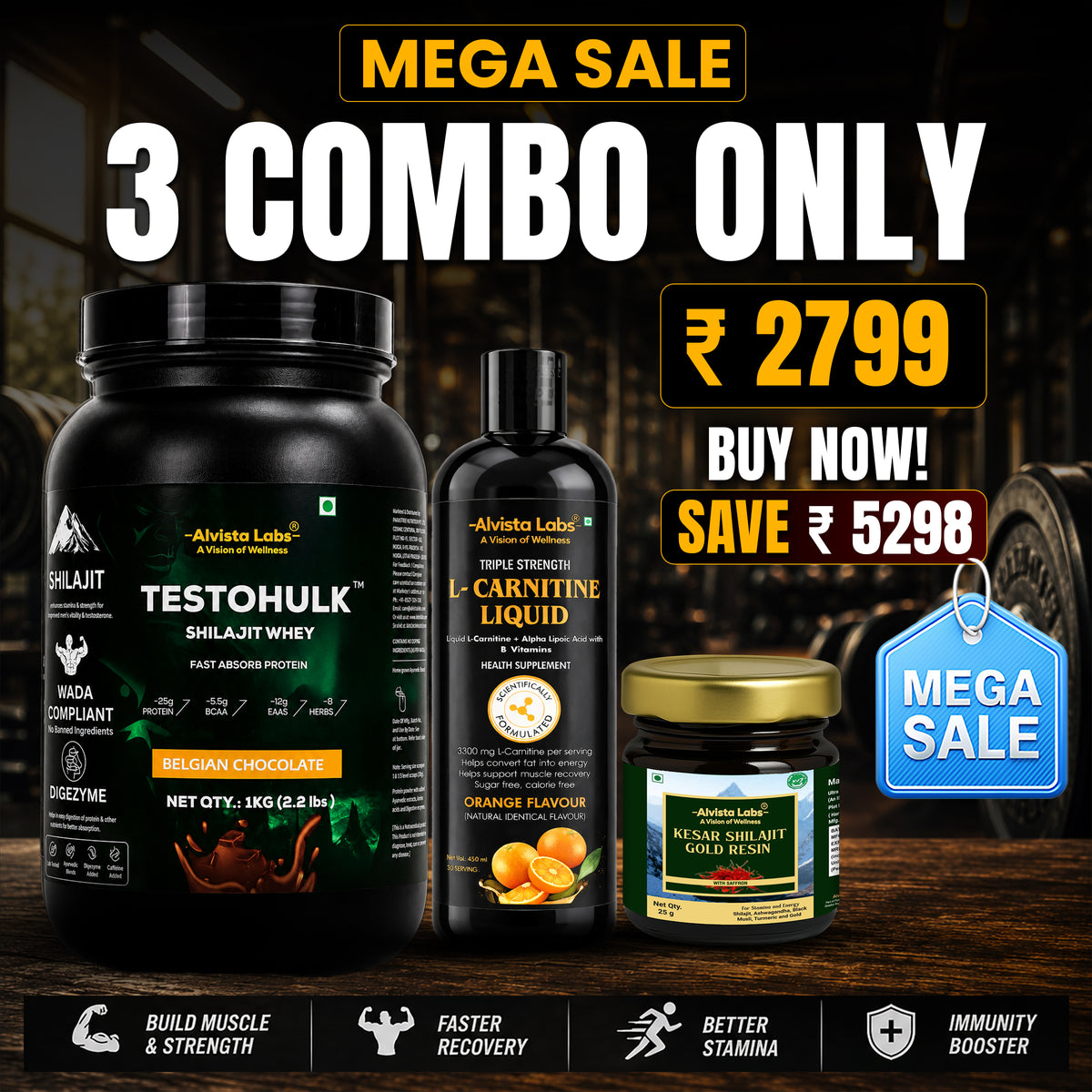 TESTOHULK™ Shilajit Whey Fast Absorb Protein-1kg +Alvista Kesar Shilajit Gold Resin-25g+Alvista Labs L-Carnitine 3300Mg Combo Pack