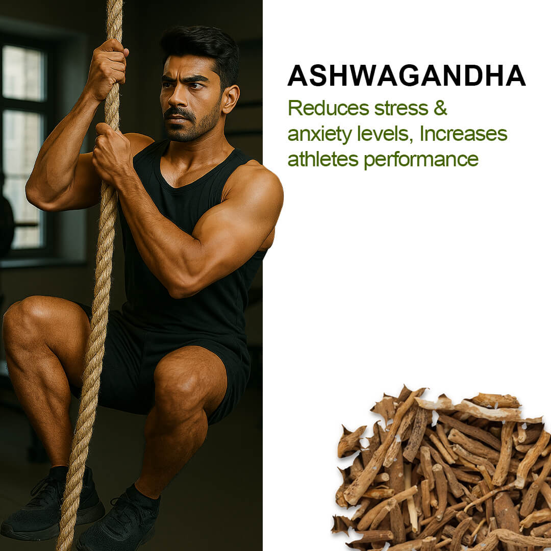 Alvista Kesar Shilajit Gold Resin-25g