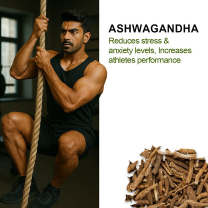 Alvista Kesar Shilajit Gold Resin-25g
