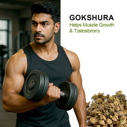 TESTOHULK™ Shilajit Whey Fast Absorb Protein - 1kg