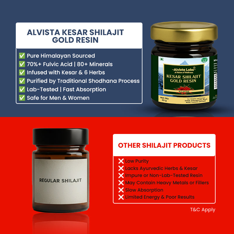 TESTOHULK™ Shilajit Whey Fast Absorb Protein-1kg +Alvista Kesar Shilajit Gold Resin-25g+Alvista Labs L-Carnitine 3300Mg Combo Pack
