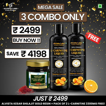 Alvista Labs Kesar Shilajit 24K Carat Gold with Triple Strength L-Carnitine Liquid Combo (2 × 450 ml)