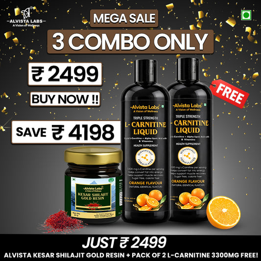 Alvista Labs Kesar Shilajit 24K Carat Gold with Triple Strength L-Carnitine Liquid Combo (2 × 450 ml)