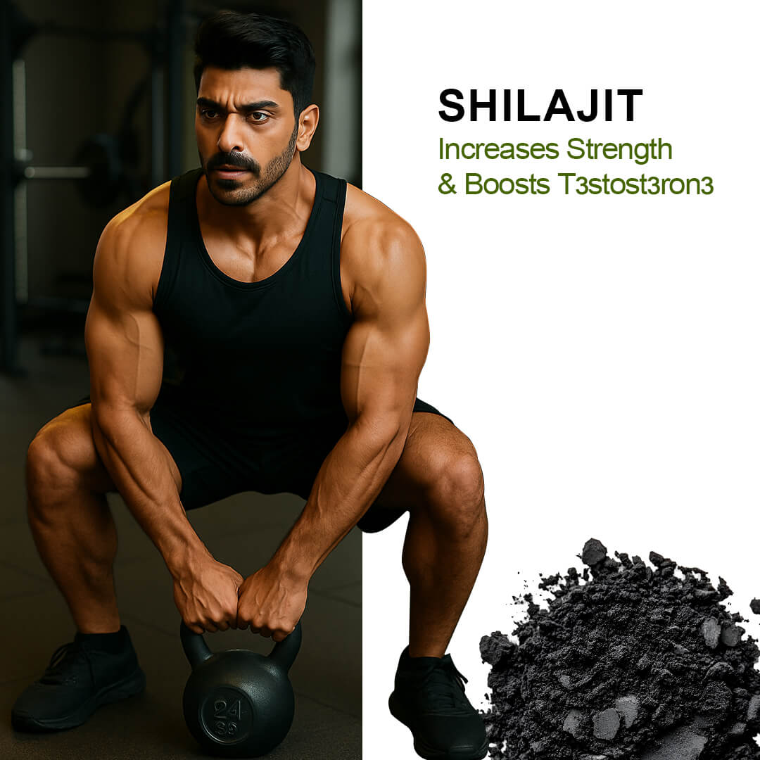 Alvista Kesar Shilajit Gold Resin - 2 Shilajit Combo