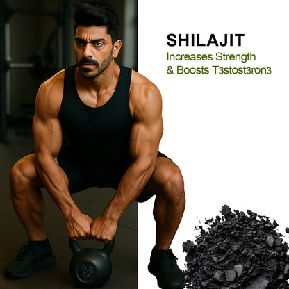 Alvista Kesar Shilajit Gold Resin - 2 Shilajit Combo