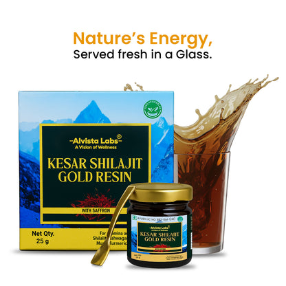 Alvista Kesar Shilajit Gold Resin - 2 Shilajit Combo