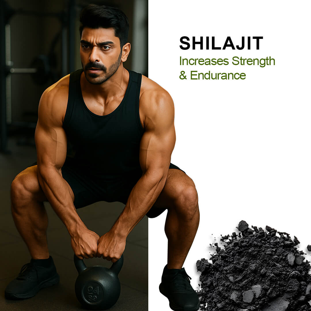 TESTOHULK™ Shilajit Whey Fast Absorb Protein - 1kg