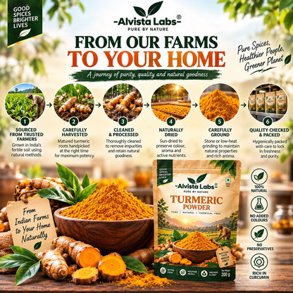 Alvista Labs Natural Family Value Combo - 1.9 kg