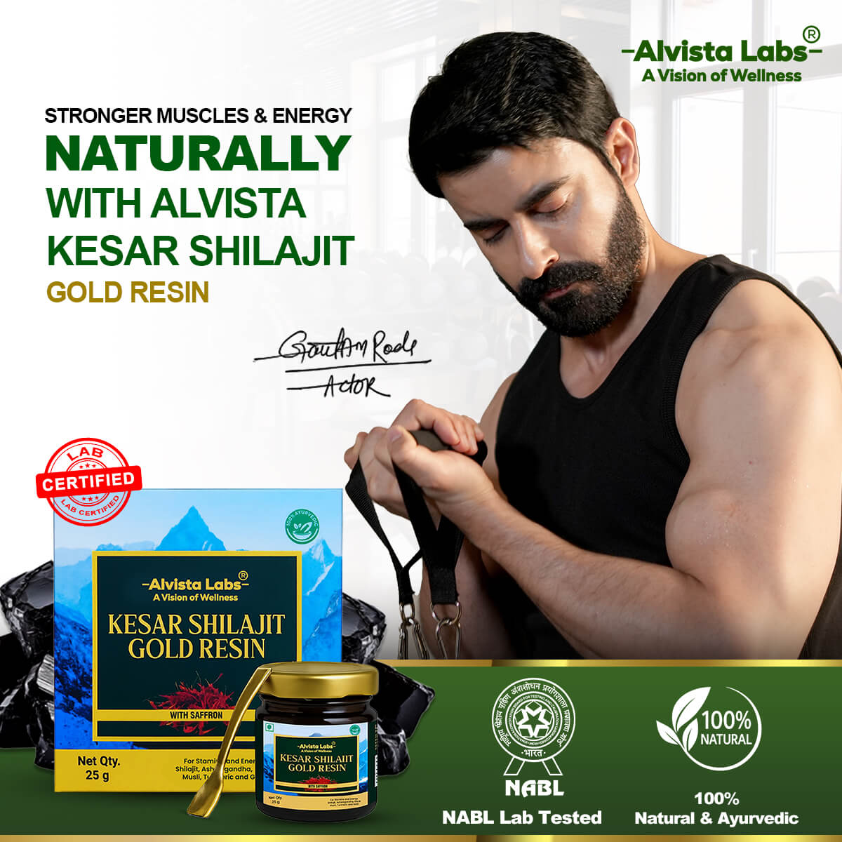 Alvista Kesar Shilajit Gold Resin - 2 Shilajit Combo