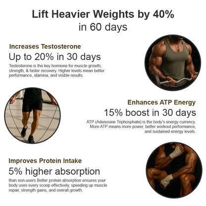 Alvista Labs 4-in-1 Mega Saver Combo (Testohulk Shilajit Whey + L-Carnitine Liquid + 3X Gut Technology + Kesar Shilajit Gold Resin)