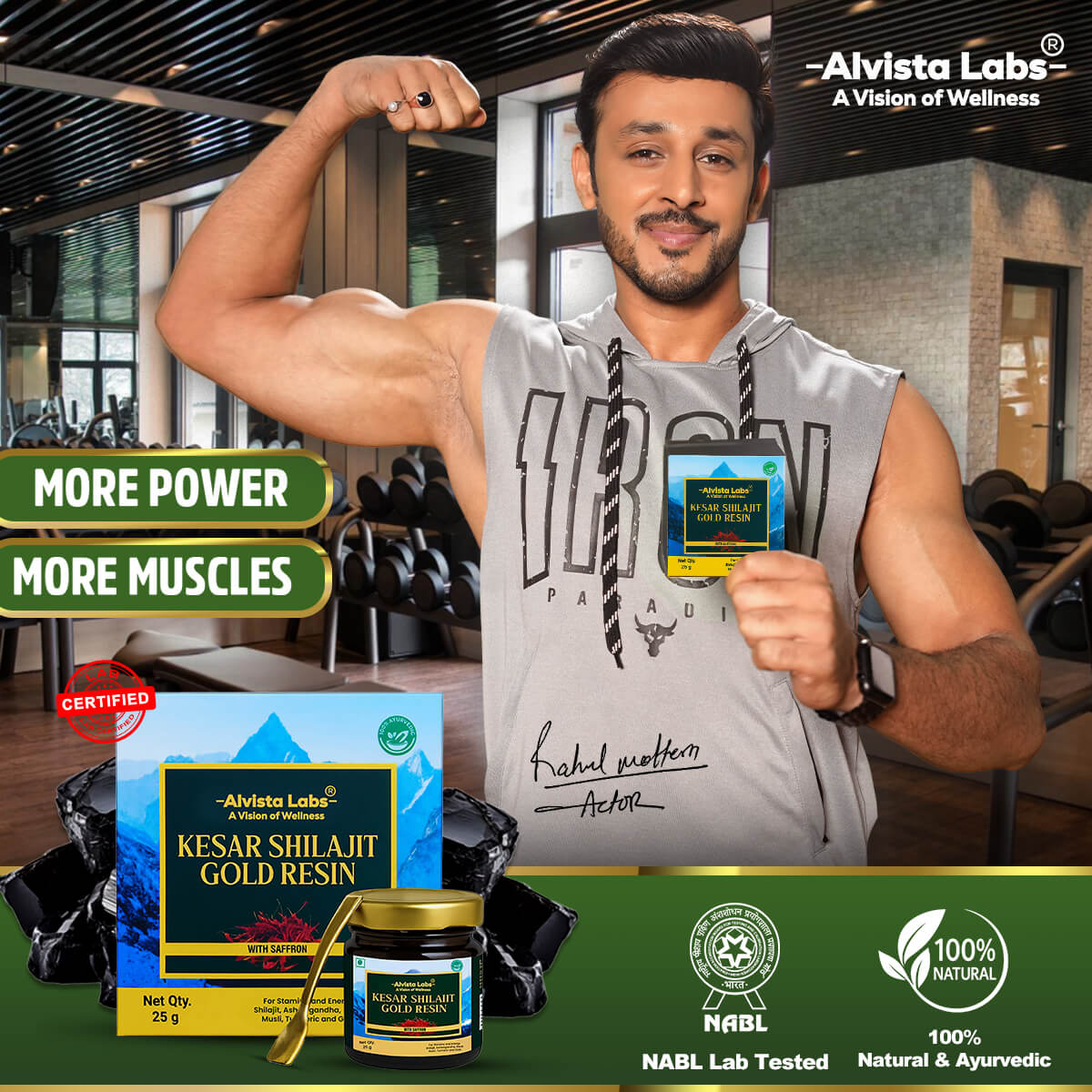 Alvista Kesar Shilajit Gold Resin - 2 Shilajit Combo