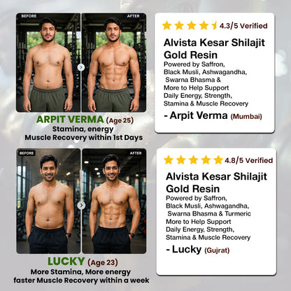 Alvista Kesar Shilajit Gold Resin-25g