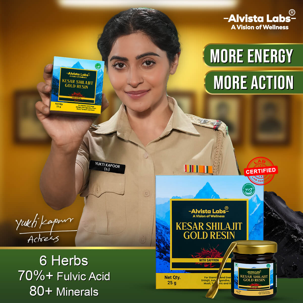 Alvista Kesar Shilajit Gold Resin - 2 Shilajit Combo