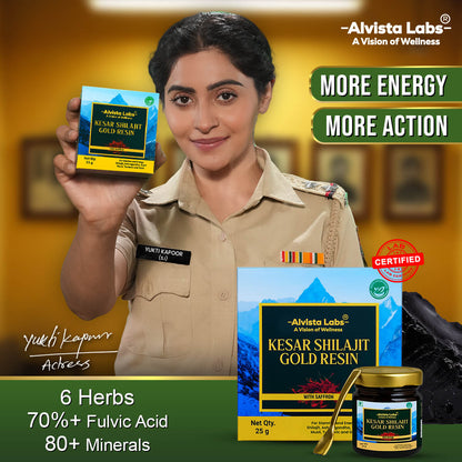 Alvista Kesar Shilajit Gold Resin - 2 Shilajit Combo