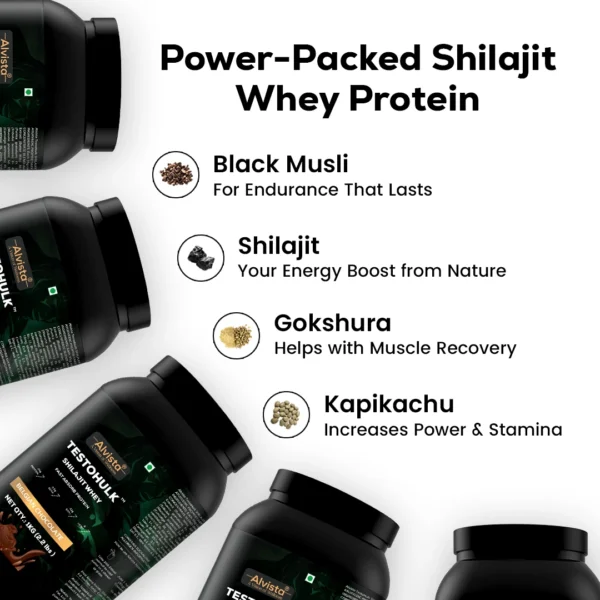 TESTOHULK™ Shilajit Whey Fast Absorb Protein - Image 4
